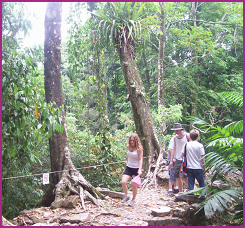 Jungle walk around Palenque
